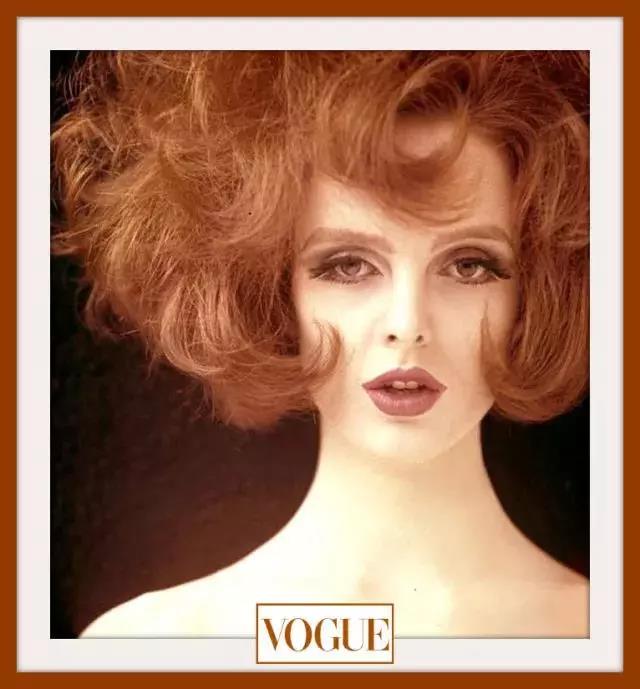 猫奴时尚单品，时尚大佬的完成体