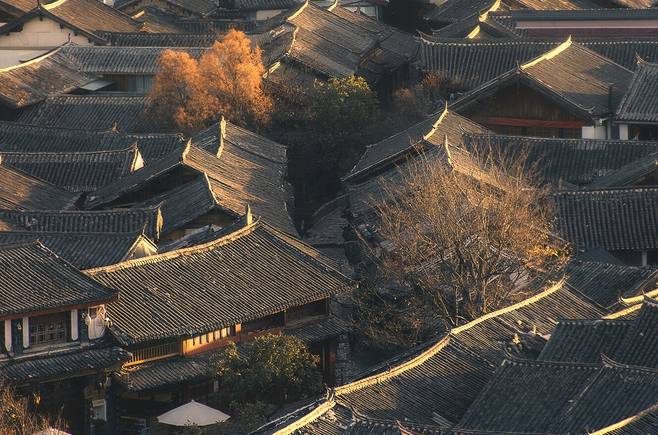 了解星座秘密 狮子座和什么星座最配