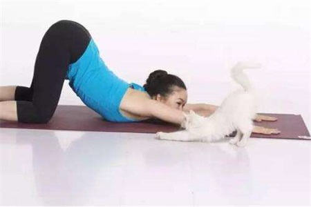 同房姿势108种，瑜伽帮你打开性爱姿势内附图解