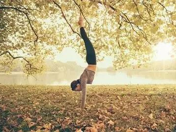 四个瑜伽鸽子体式，帮你检测瑜伽功力