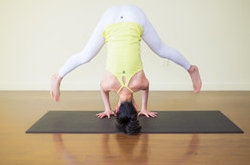 快速减肥的瑜伽动作 猫伸展式瑜伽动作