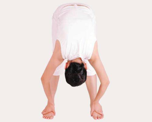 想要瘦身 瑜伽这样练就对了