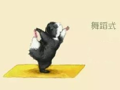 这些动物才是瑜伽高手，赶紧跟着来学学吧1_副本.jpg