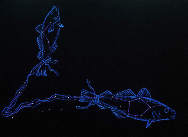 你知道双鱼座的神话故事吗？