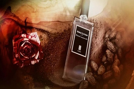 檀香香水，女性秋天里的温暖