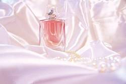 闻此香必是一生拥有的热门经典香水