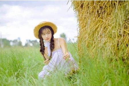 巨蟹座今日运势