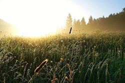 白羊座女生喜欢哪种类型的男生