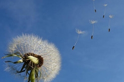 2017年10月天蝎座运势