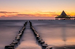 射手座女生喜欢哪种类型的男生