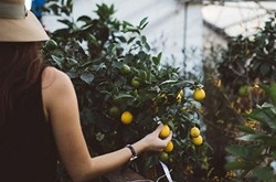 处女座适合什么职业 这样的工作环境才好