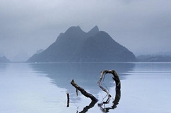 2017年10月双鱼座运势