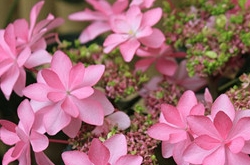 水瓶座女生喜欢哪种类型的男生