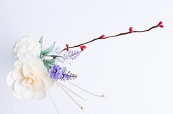 2017年10月处女座运势