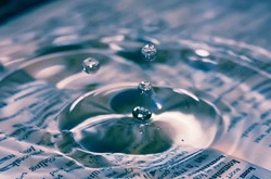 天秤座女生喜欢哪种类型的男生