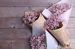 射手座2017年9月的运势