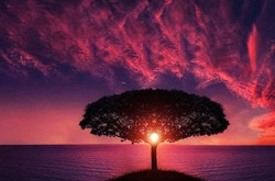 2017年10月摩羯座运势