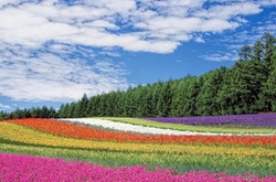 处女座女生喜欢哪种类型的男生