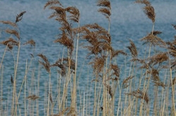 2017年10月射手座运势