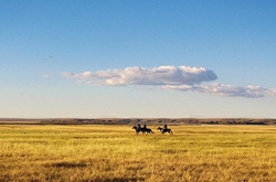 2017年10月金牛座运势