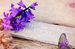 2017年10月狮子座运势