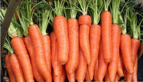 怎么帮助孩子长高，这两样东西有奇效！