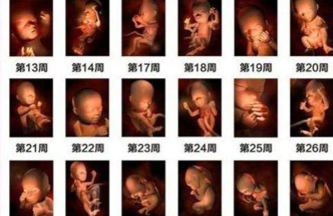 胎儿成长最快的一个月是什么时候？孕妈要做好5件事