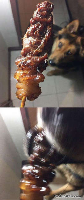 搞笑内涵段子图片大分享