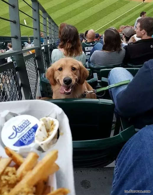 爆笑内涵图片之女厕还有这种东西?