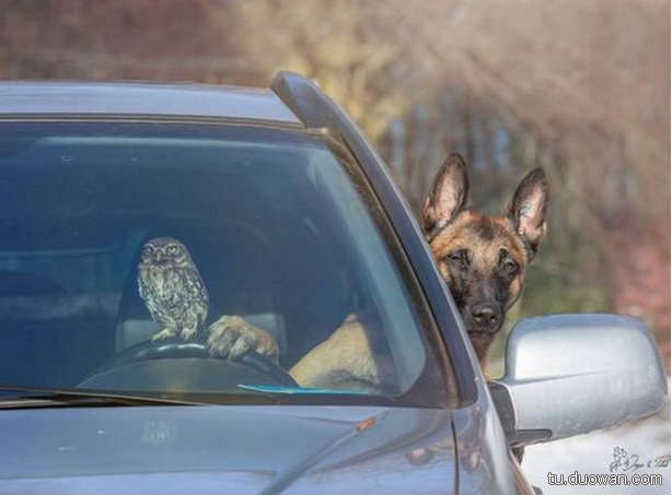 搞笑内涵图片之拔下来那一刻我好方