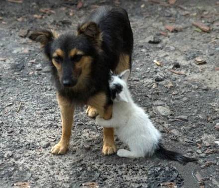 爆笑恶搞图片之不要离开我