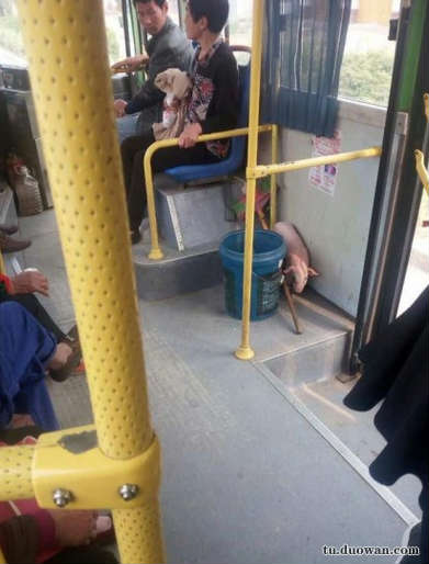 搞笑内涵段子图片大分享