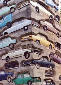 这就是传说中的“守株待兔”？”