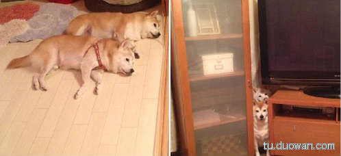 邪恶内涵图片之你第一眼是先看哪里？