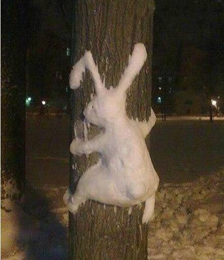 这就是传说中的&ldquo;守株待兔&rdquo;？