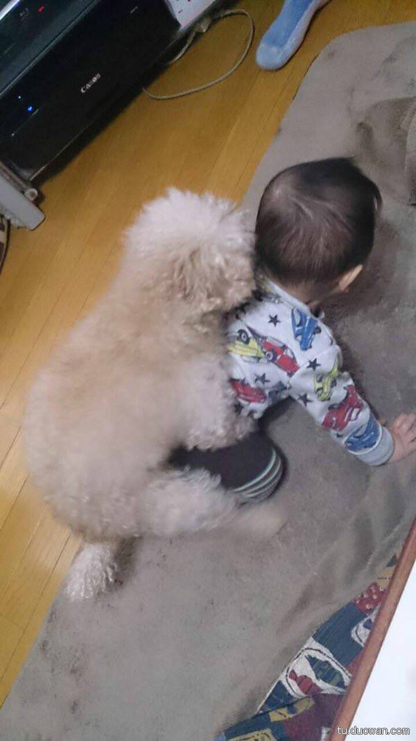 搞笑内涵图片之拔下来那一刻我好方