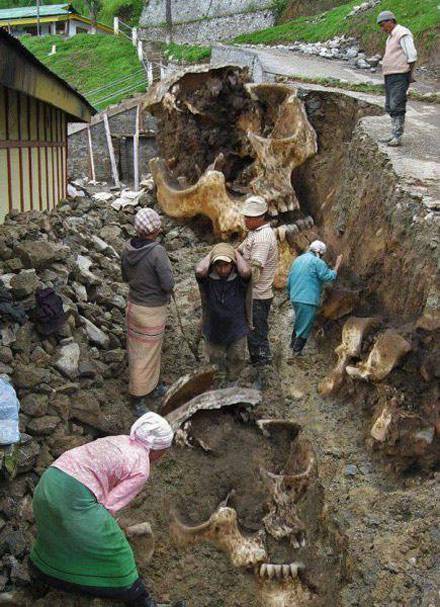 这就是传说中的&ldquo;守株待兔&rdquo;？