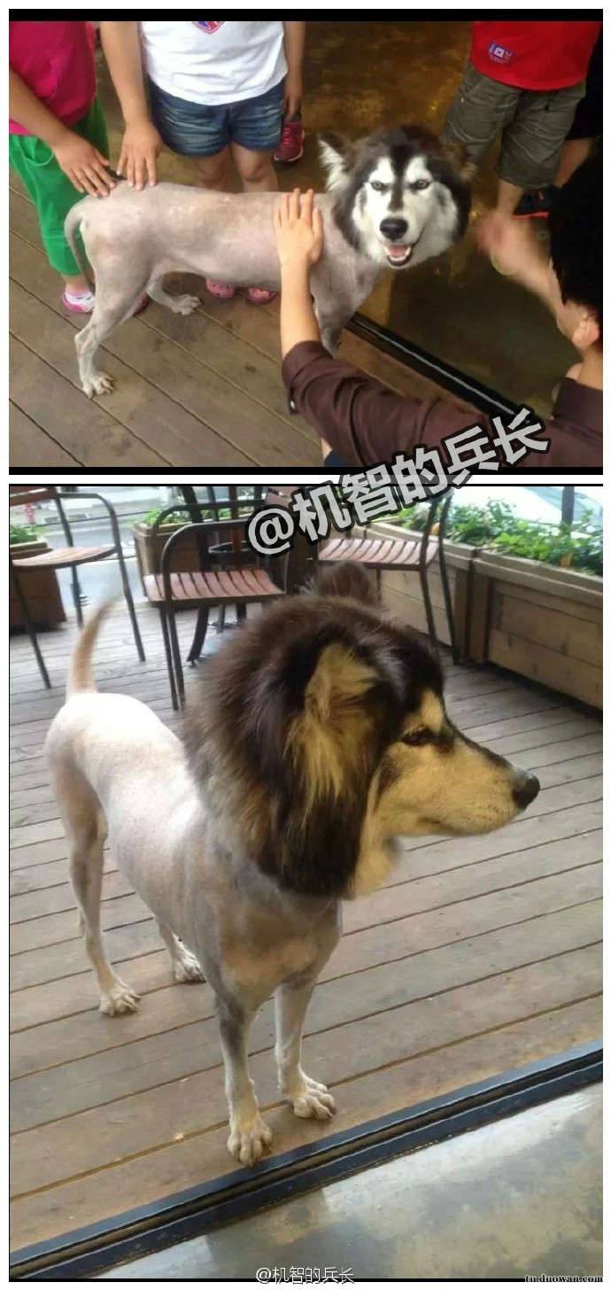 搞笑内涵图之喵星人:我仿佛闻到了小鱼干的味道