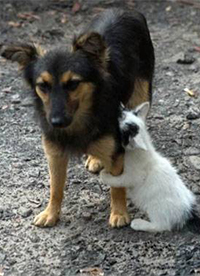 爆笑恶搞图片之不要离开我”