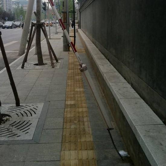 这就是传说中的&ldquo;守株待兔&rdquo;？