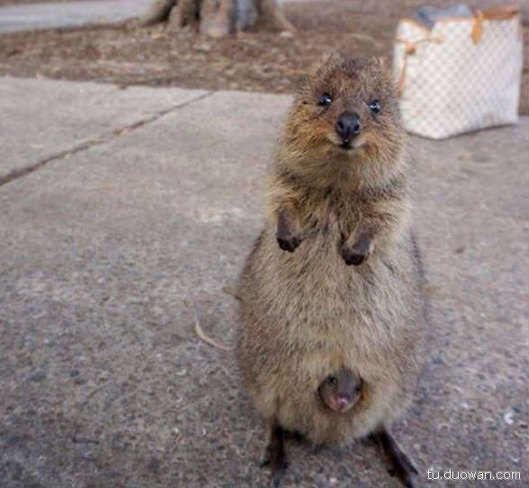 搞笑内涵图片之拔下来那一刻我好方