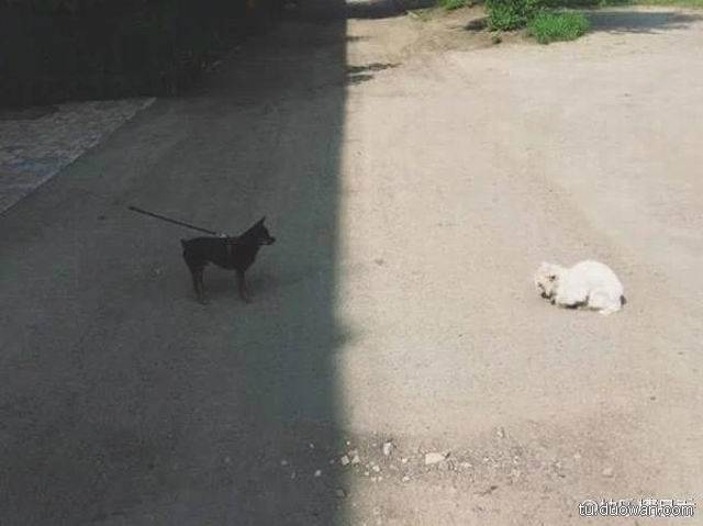 邪恶内涵图片之你第一眼是先看哪里？