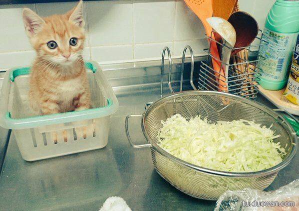 邪恶内涵图片之你第一眼是先看哪里？