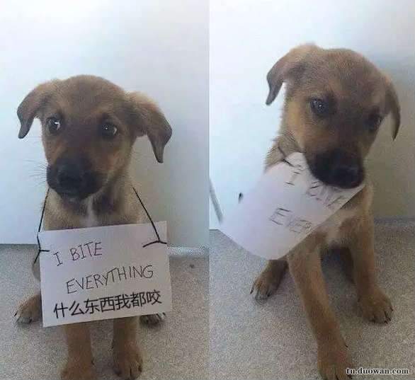 搞笑内涵段子图片大分享