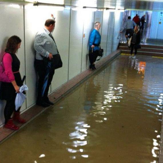 猜一猜她们在干嘛...