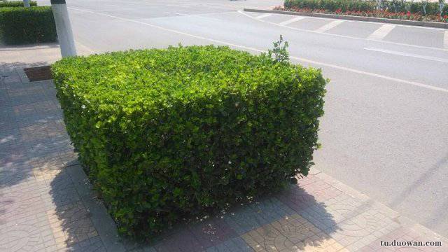 搞笑内涵段子图片大分享