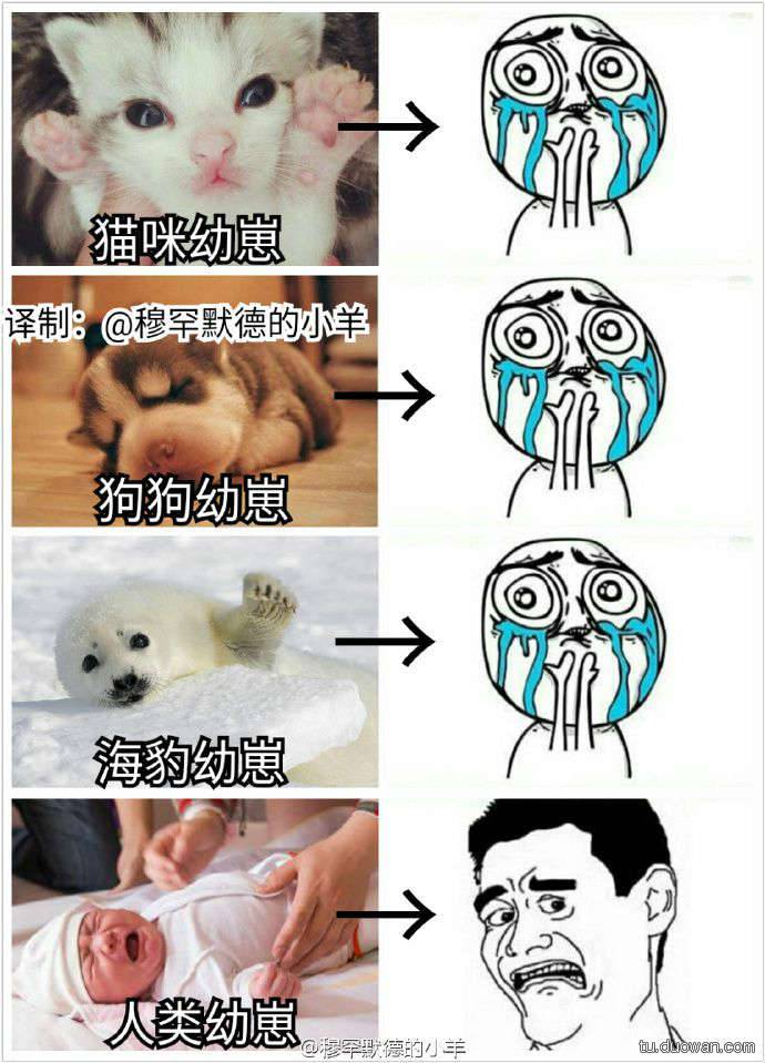 邪恶内涵图片之你第一眼是先看哪里？