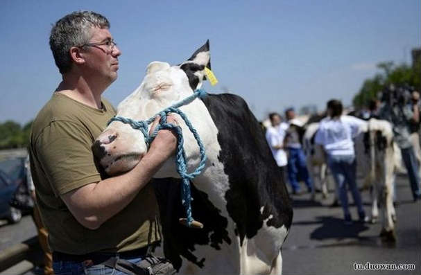 搞笑内涵图之喵星人:我仿佛闻到了小鱼干的味道