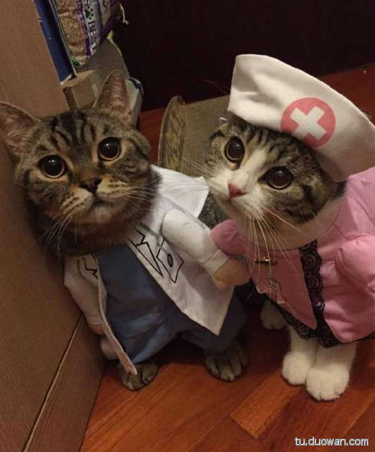 邪恶内涵图片之你第一眼是先看哪里？