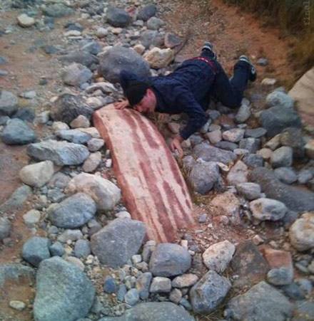 这就是传说中的&ldquo;守株待兔&rdquo;？